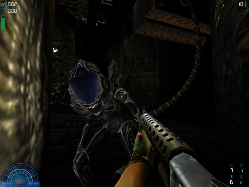 avp2.jpg